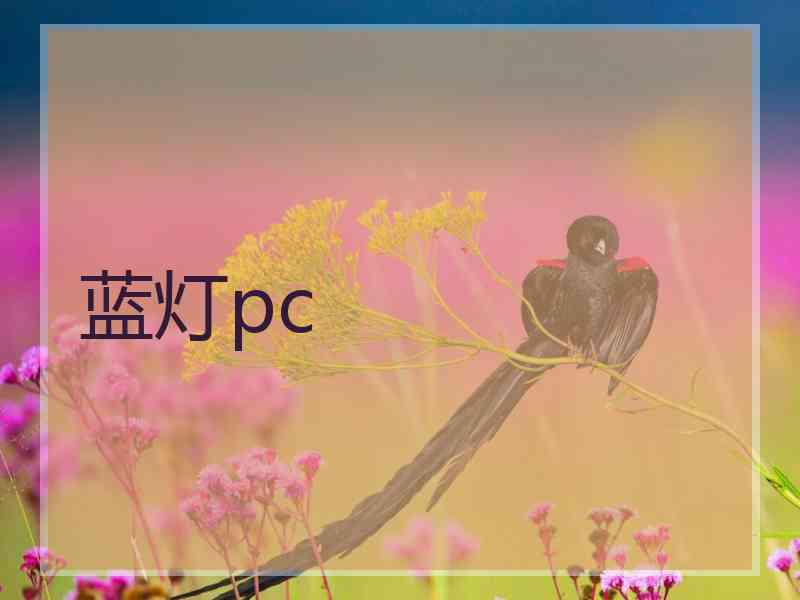 蓝灯pc