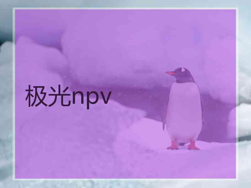 极光npv