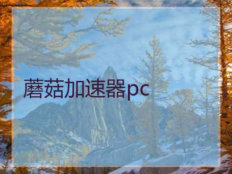 蘑菇加速器pc