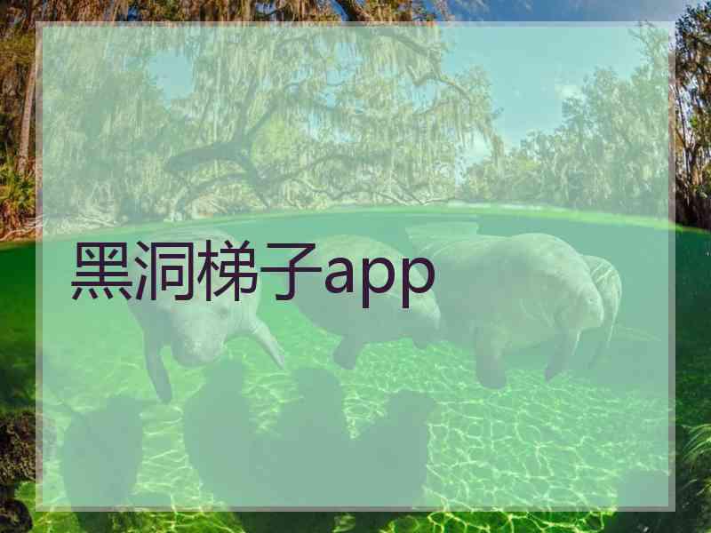 黑洞梯子app