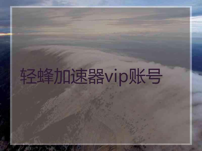 轻蜂加速器vip账号