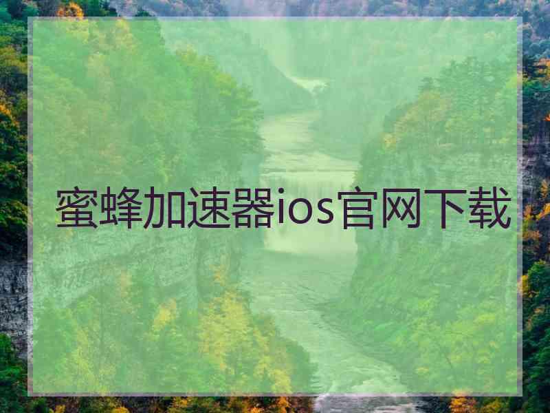 蜜蜂加速器ios官网下载