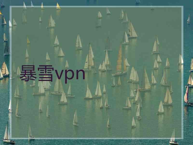 暴雪vpn