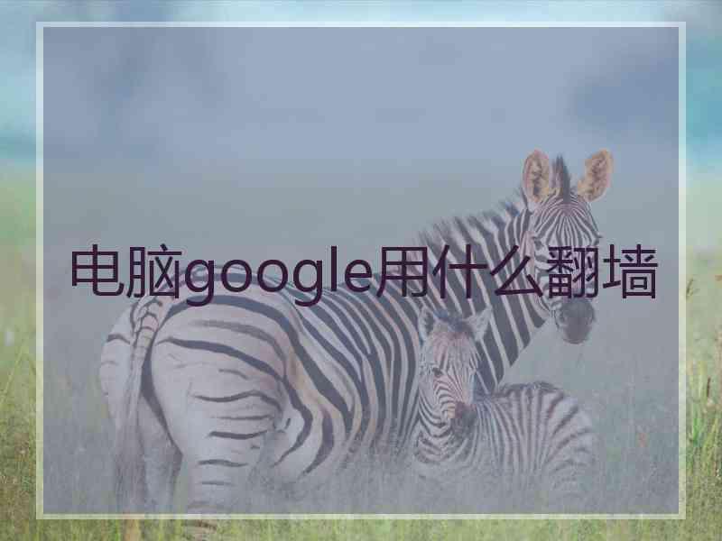 电脑google用什么翻墙