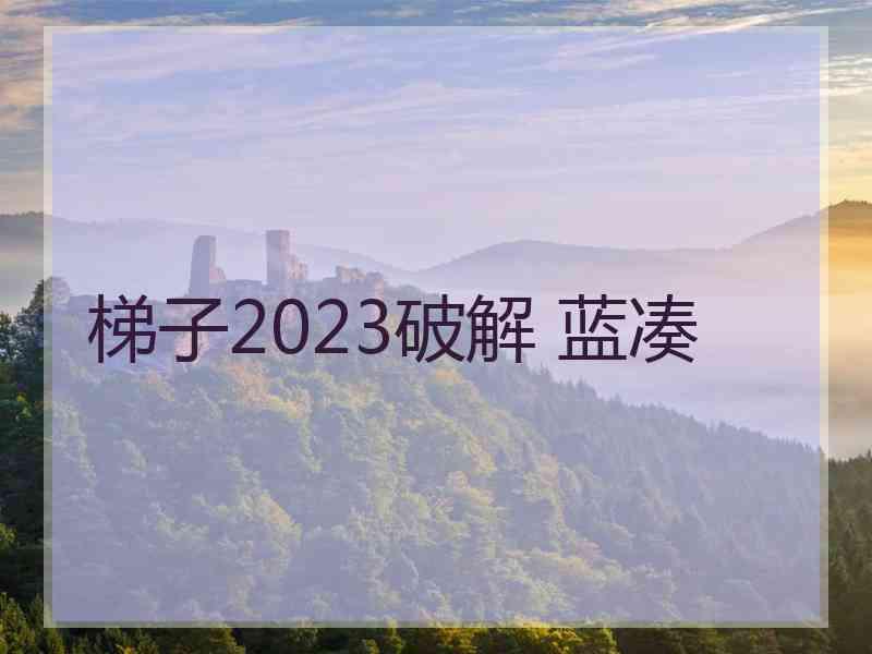 梯子2023破解 蓝凑