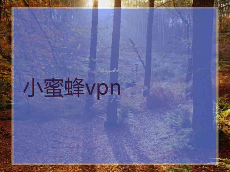 小蜜蜂vpn