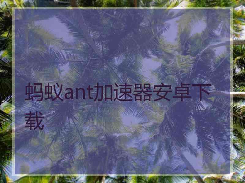 蚂蚁ant加速器安卓下载