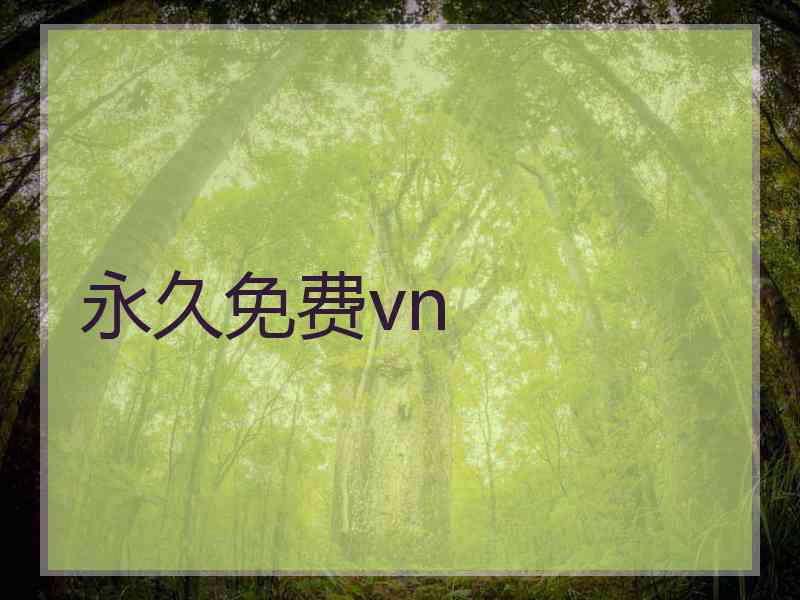 永久免费vn