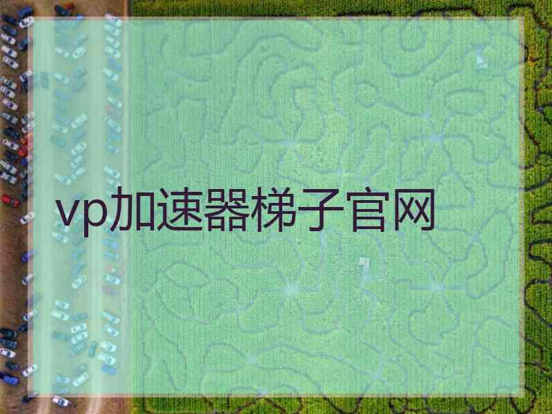 vp加速器梯子官网