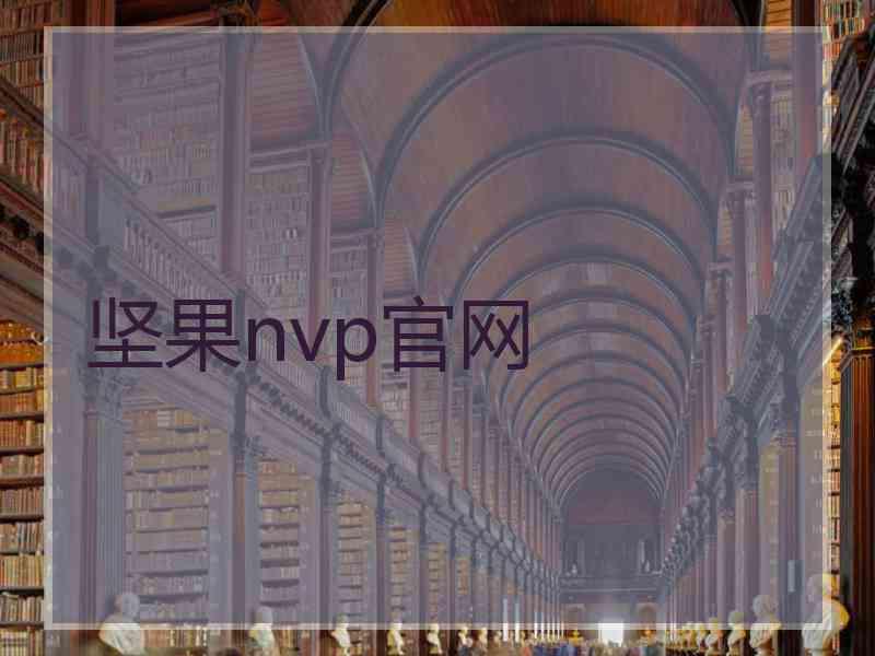 坚果nvp官网