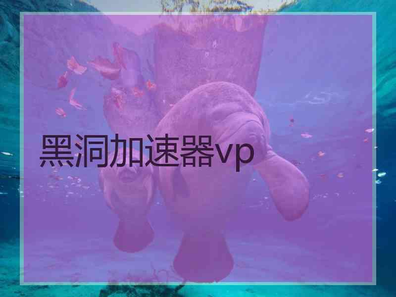 黑洞加速器vp