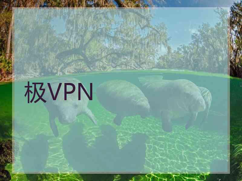 极VPN