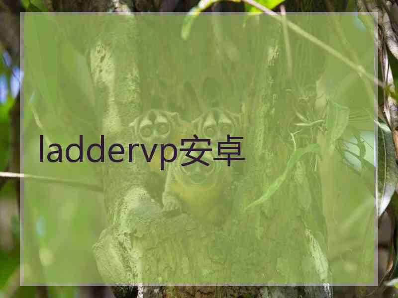 laddervp安卓