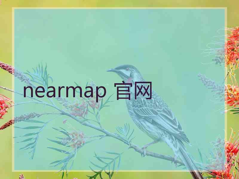 nearmap 官网