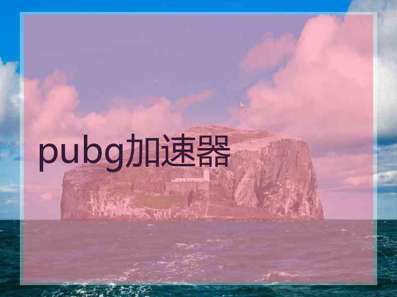 pubg加速器