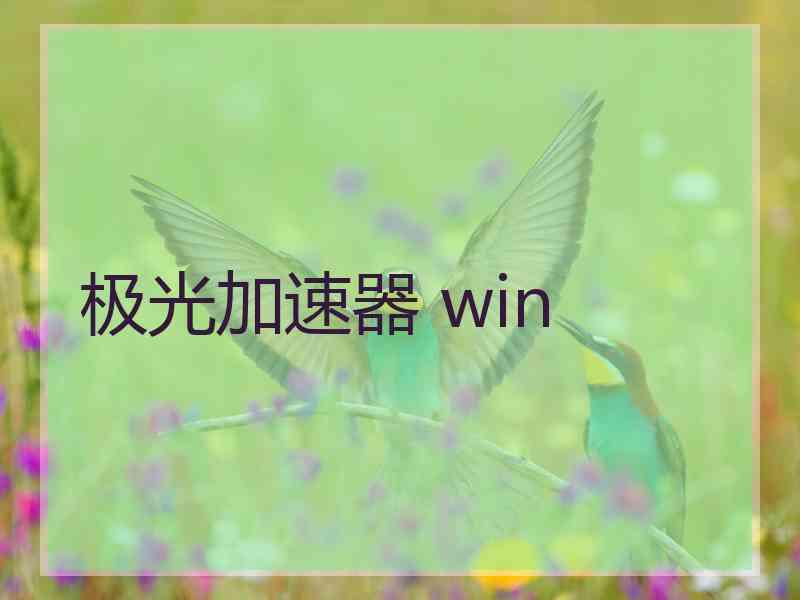 极光加速器 win