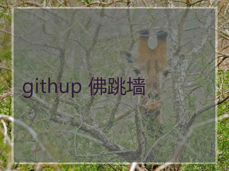 githup 佛跳墙