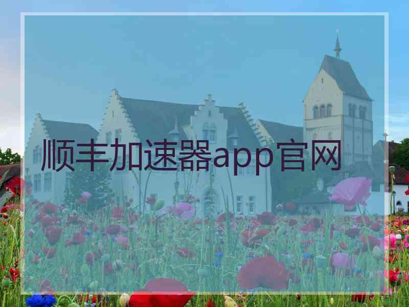 顺丰加速器app官网