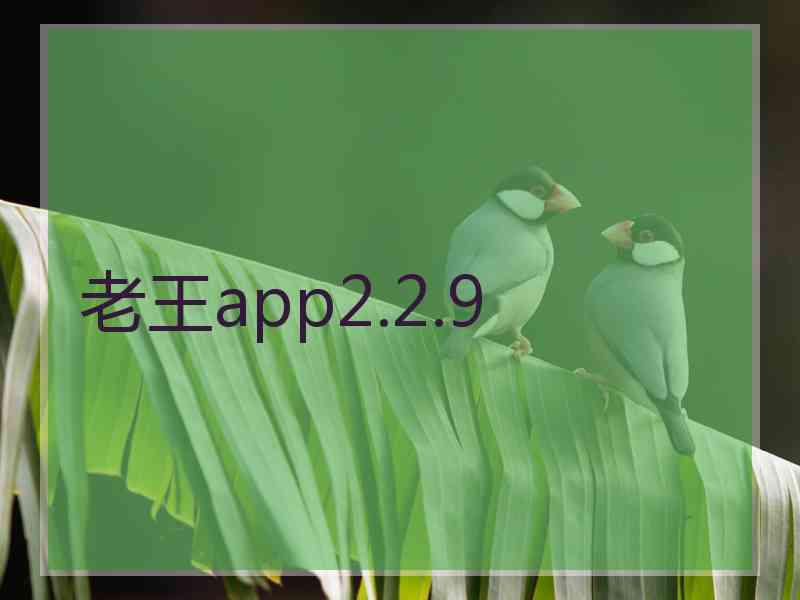 老王app2.2.9