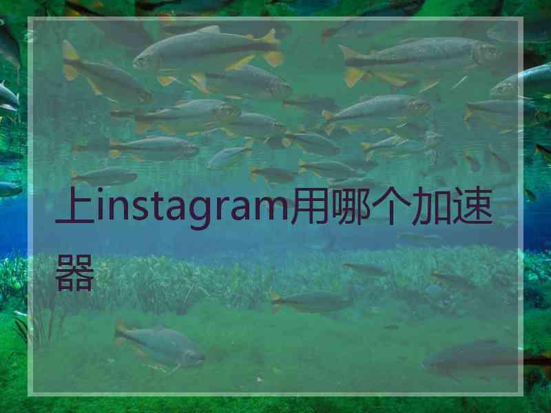 上instagram用哪个加速器