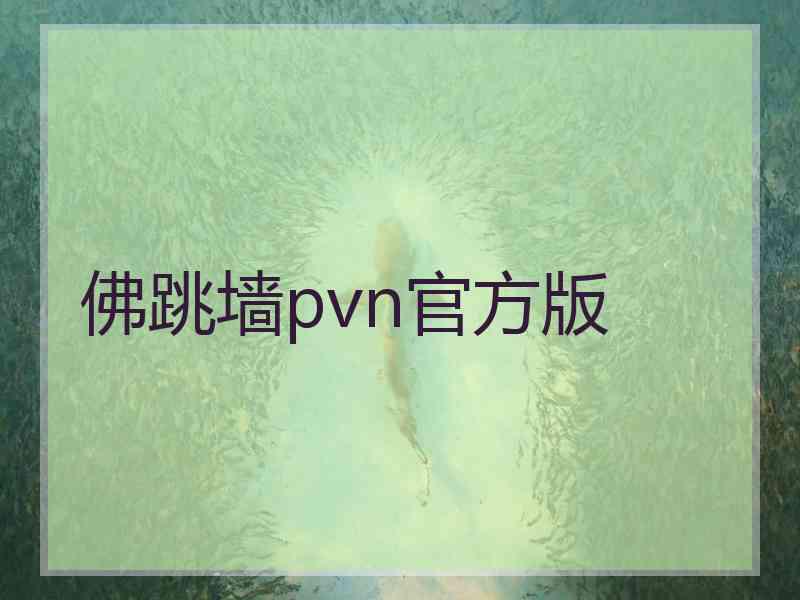 佛跳墙pvn官方版