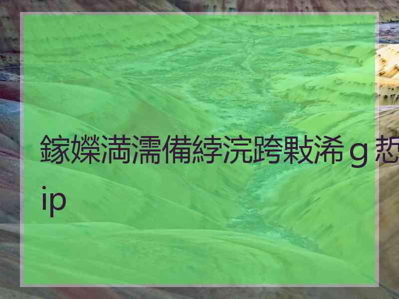 鎵嬫満濡備綍浣跨敤浠ｇ悊ip