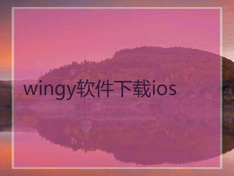 wingy软件下载ios