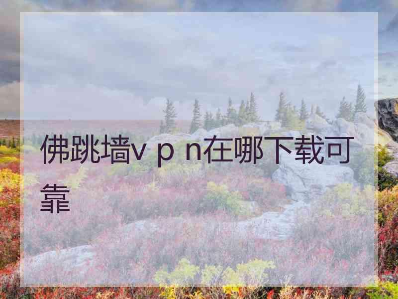 佛跳墙v p n在哪下载可靠