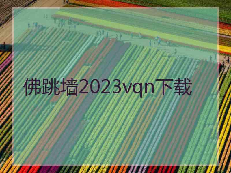 佛跳墙2023vqn下载