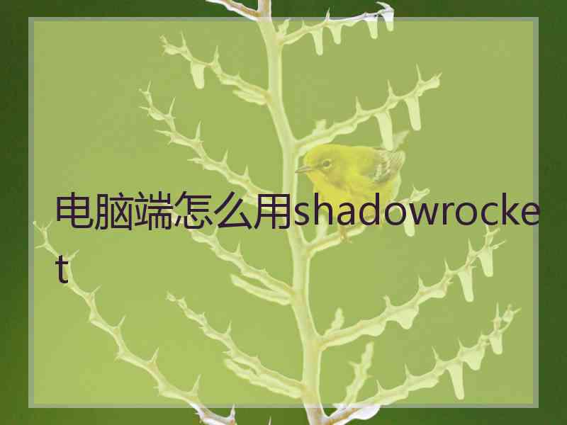 电脑端怎么用shadowrocket