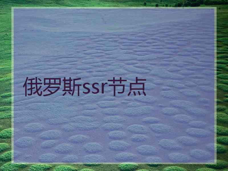 俄罗斯ssr节点