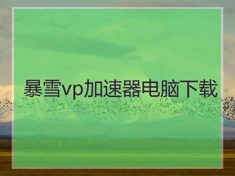 暴雪vp加速器电脑下载