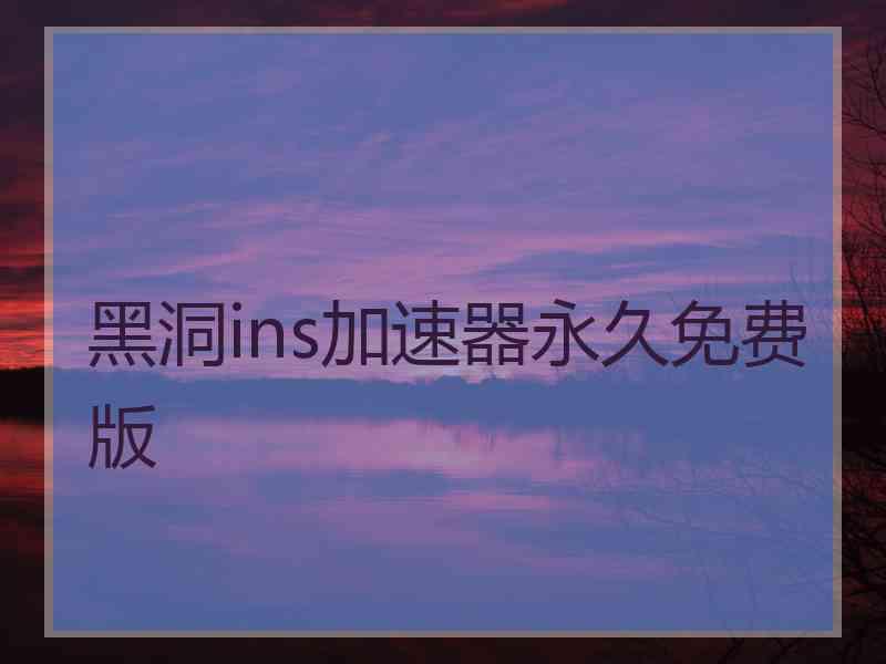 黑洞ins加速器永久免费版