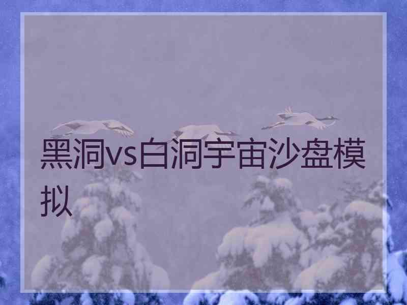 黑洞vs白洞宇宙沙盘模拟