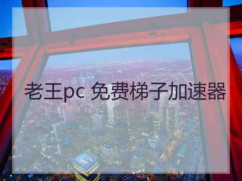 老王pc 免费梯子加速器