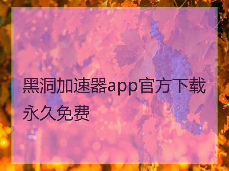 黑洞加速器app官方下载永久免费