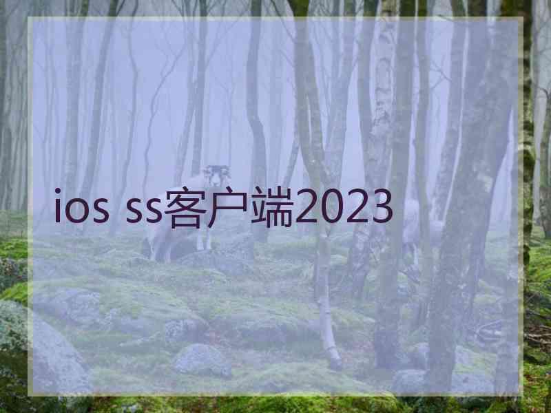 ios ss客户端2023