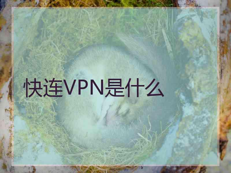 快连VPN是什么