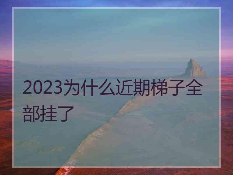 2023为什么近期梯子全部挂了