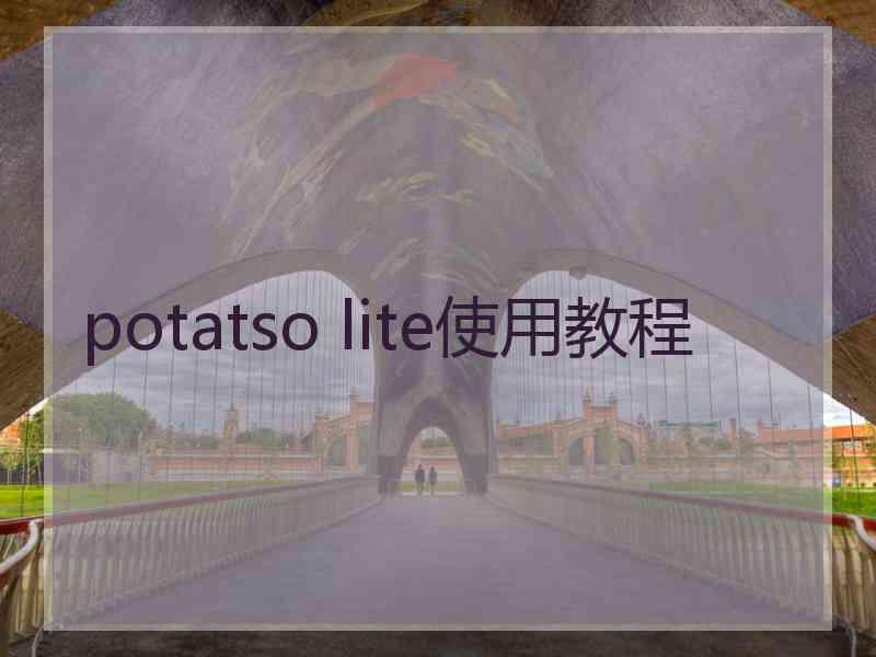 potatso lite使用教程