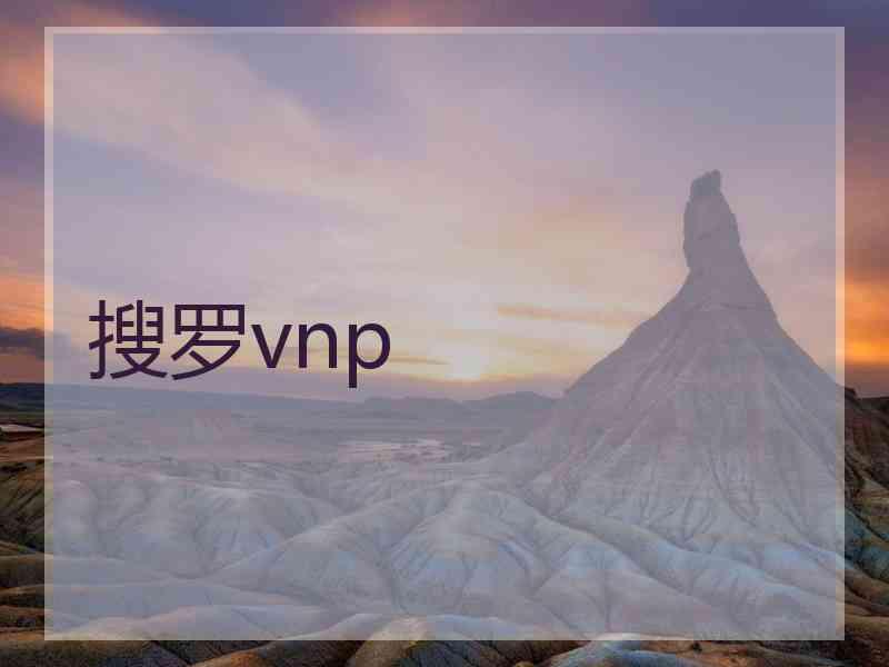 搜罗vnp