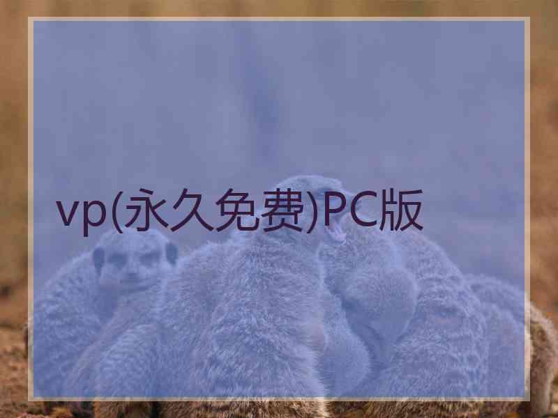 vp(永久免费)PC版