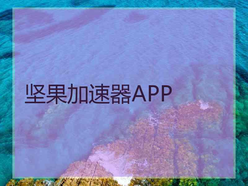 坚果加速器APP