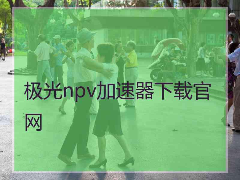 极光npv加速器下载官网