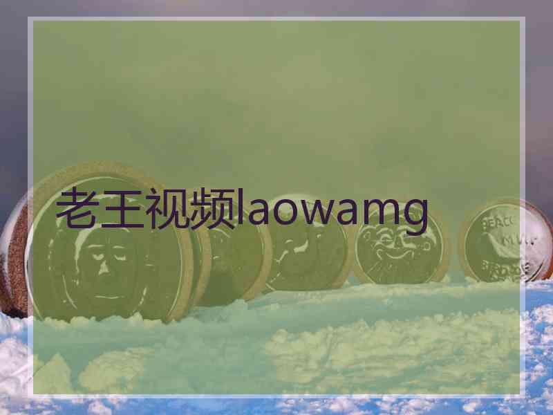 老王视频laowamg