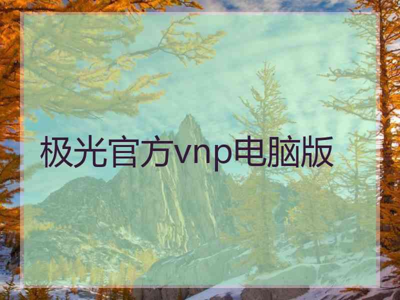 极光官方vnp电脑版