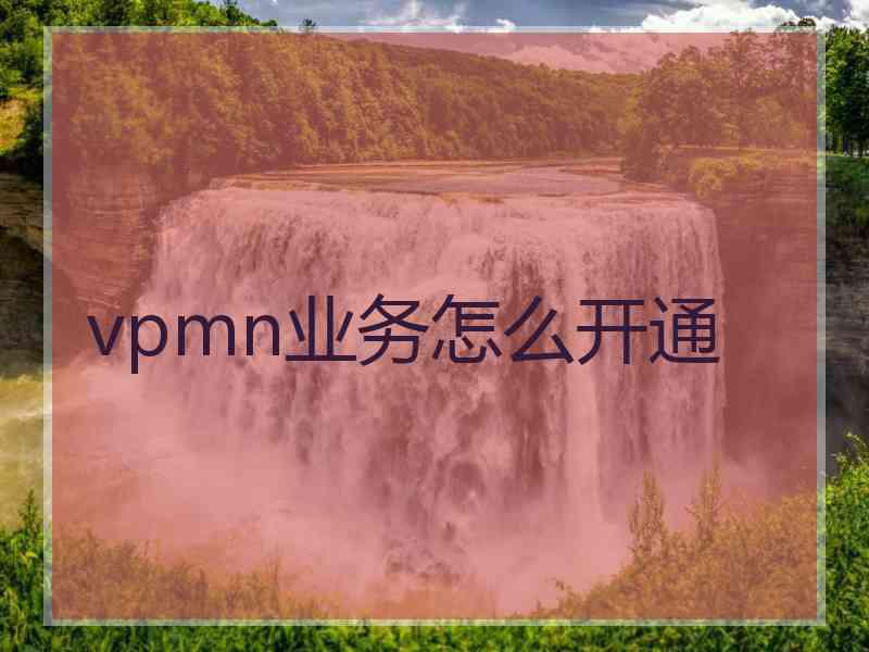 vpmn业务怎么开通