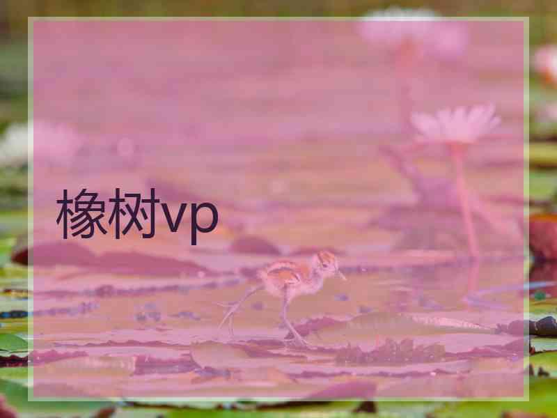 橡树vp