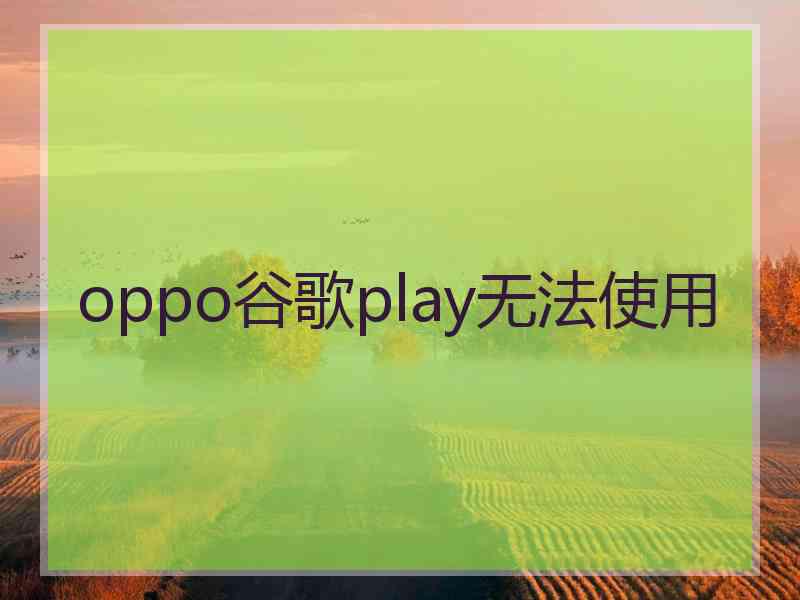 oppo谷歌play无法使用