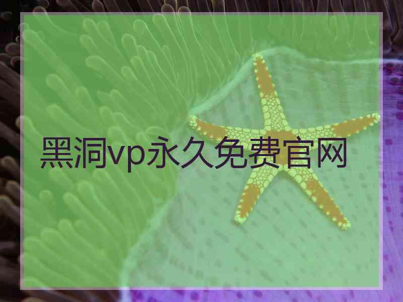 黑洞vp永久免费官网